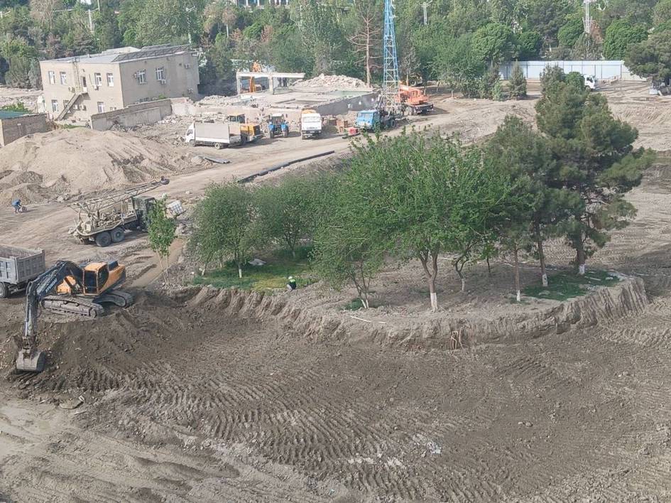 Buxoroda archalar noqonuniy kesilishi oqibatida tabiatga 95 mln so‘m zarar yetkazildi